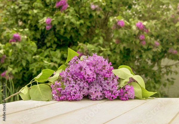 Obraz Branch of blooming lilac on white rustic wooden surface with lilac shrub on the background. Space for product or text on foreground