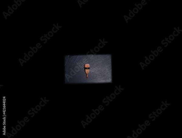 Fototapeta SUSHI ROLLS  and classic sushi and soups with some sweets, menu for sushi bar