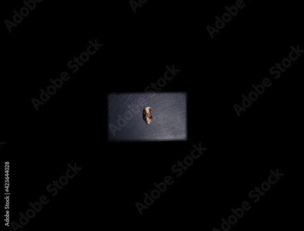 Fototapeta SUSHI ROLLS  and classic sushi and soups with some sweets, menu for sushi bar