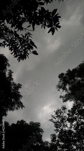 Fototapeta Dark Cloudy sky