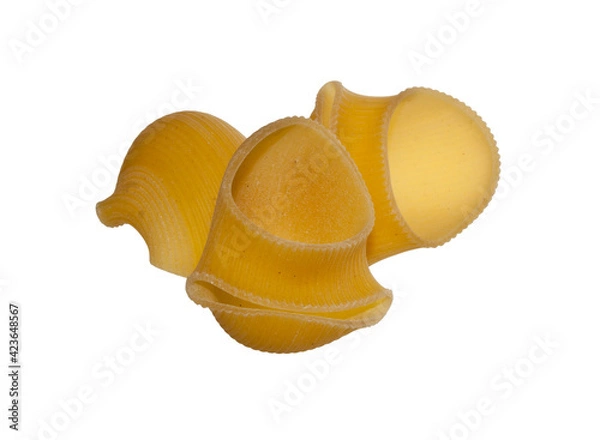 Obraz pasta isolated on white background