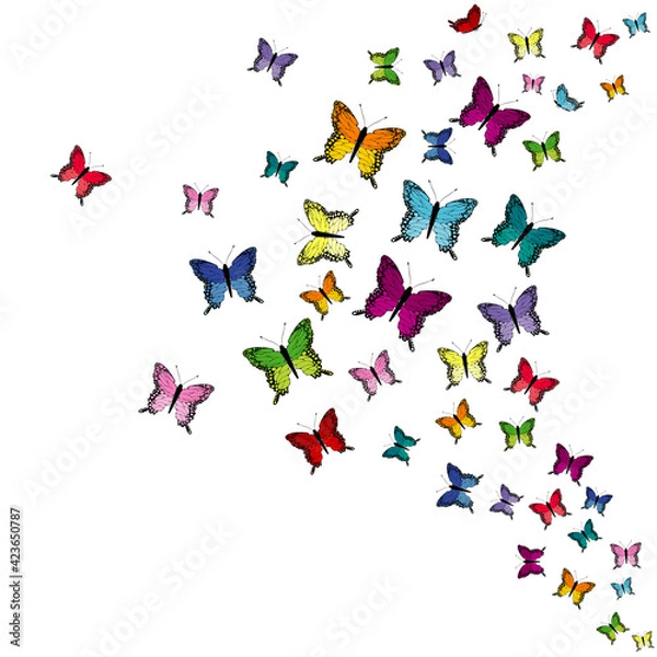 Fototapeta Colorful flying butterflies isolated on white background