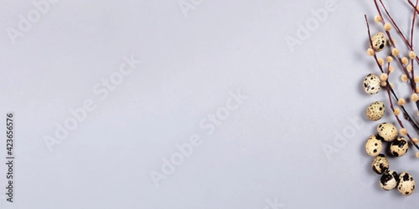 Obraz The beautiful easter composition of the willow branches and quail eggs on the gray background with the copy space for your text.