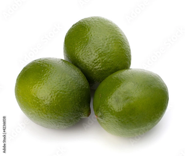 Obraz lime isolated on white background