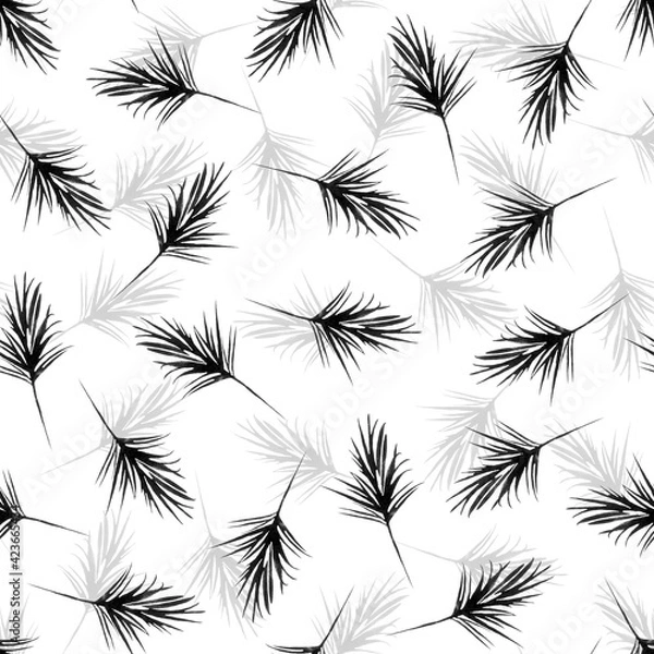 Fototapeta Seamless pattern of black and white feathers. Leaf print. Pattern for printing on fabric, wallpaper, paper and other surfaces.
