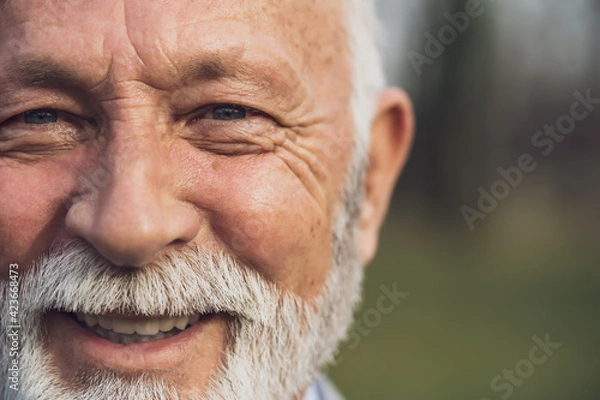 Obraz Close up portrait of happy senior man. Part of senior man face with copy space on image.