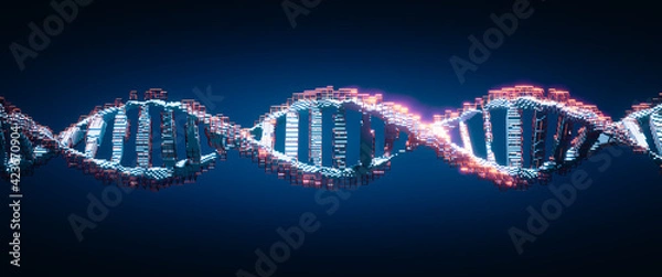 Fototapeta DNA digital. Study of gene structure of cell. Molecule structure. Genetic engineering of the future. 3d illustration