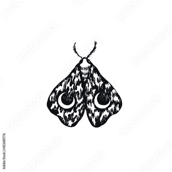 Fototapeta Hand drawn moth isolated illustration
