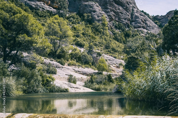 Fototapeta calm stream with many stones on the path