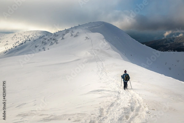 Obraz tourist with backpack hiking in winter mountains