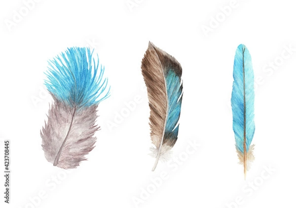 Fototapeta Vibrant feather set. Bird feather isolated on white background. Boho style wings. Watercolor illustration.