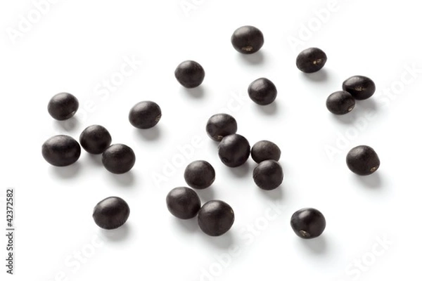 Obraz Black soybean