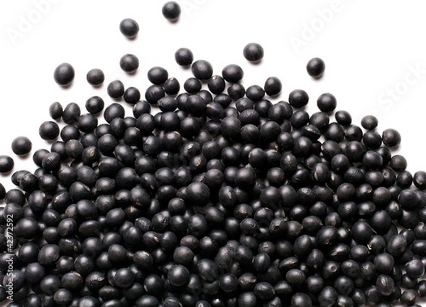 Obraz black soybean