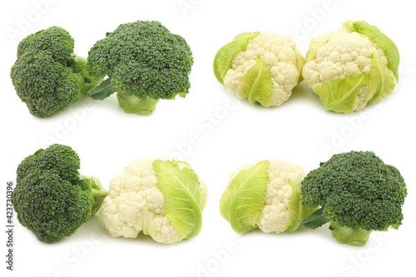 Fototapeta Fresh cauliflower and broccoli  on a white background