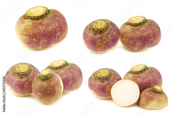 Obraz fresh turnips on a white background