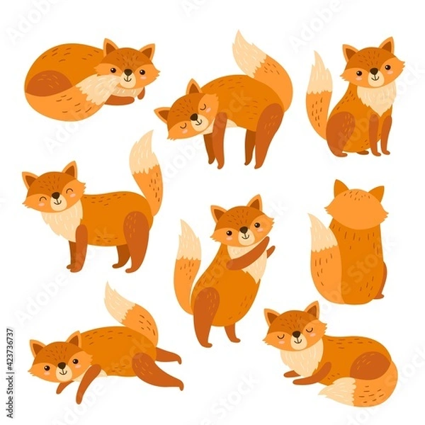 Fototapeta Fox characters. Cute cartoon red foxes, funny animal running standing or sitting. Isolated forest wildlife, foxy with orange tail exact vector set