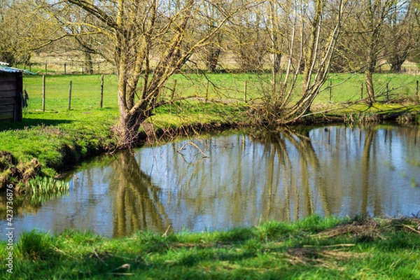 Obraz landscape with a pond