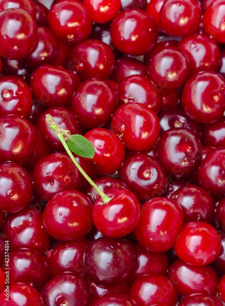 Fototapeta Ripe cherries