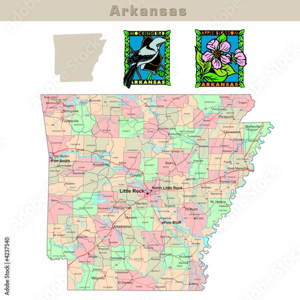 Fototapeta USA states series: Arkansas. Political map