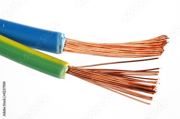 Obraz Dos cables electricos