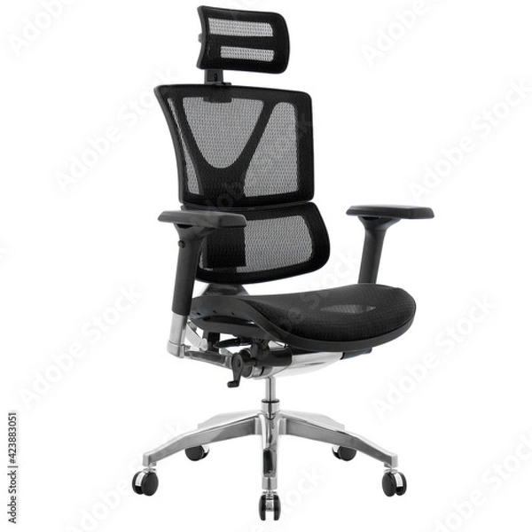Obraz premium office chair with lumbar support isolated on white background