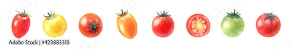 Fototapeta カラフルなミニトマトの水彩イラスト