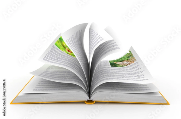 Fototapeta Open book over white background
