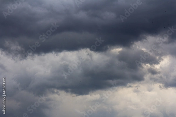 Fototapeta dramatic storm cloud sky background