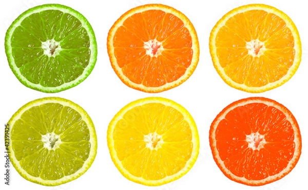 Fototapeta Six multicolored sliced oranges, isolated on white