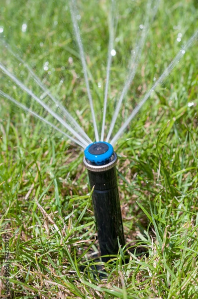 Obraz Water sprinkler garden automatic irrigation system