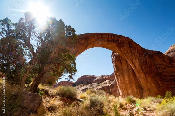 Obraz The Rainbow Bridge National Monument