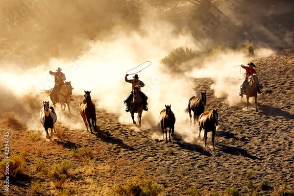 Obraz Kowbojska przyjemność