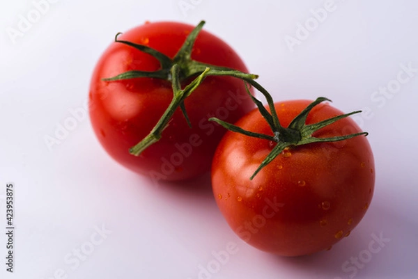 Fototapeta tomatoes on a vine