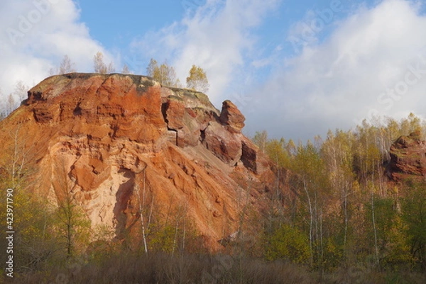 Fototapeta Red hills with birches against a blue sky.