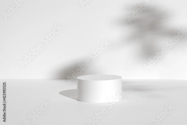Fototapeta Mockups - Platform and Bases for Product photography and packaging