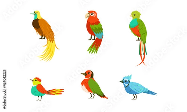 Obraz Tropical Exotic Birds Collection, Beautiful Bright Parrots Cartoon Vector Illustration