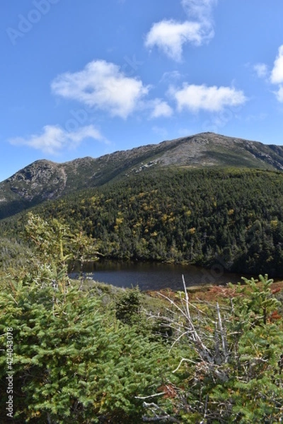 Obraz White Mountains, NH