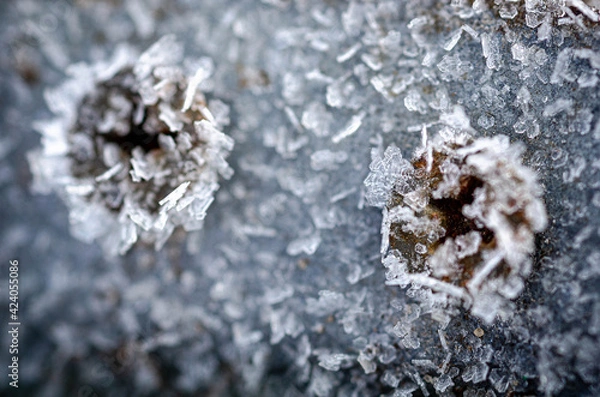 Fototapeta hoarfrost