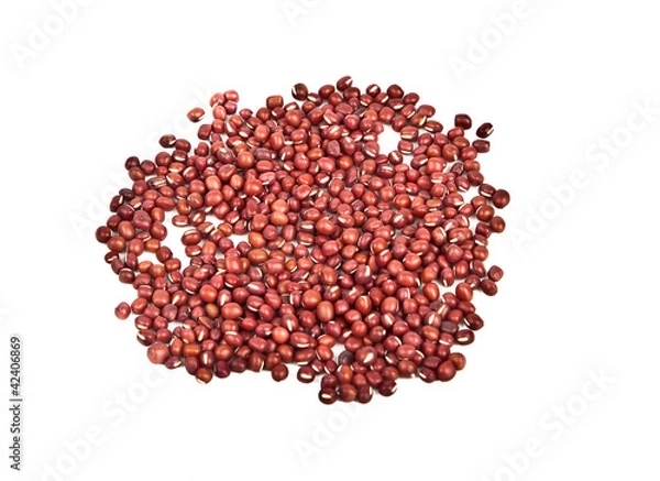Obraz red bean