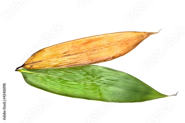 Obraz bamboo leaves for rice dumpling