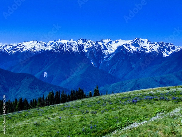 Obraz Meadows and snowy mountain tops