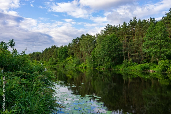 Obraz Kanał Żerański