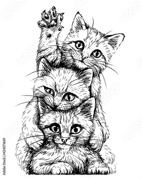 Fototapeta Cats. Wall sticker. Graphic, black and white sketch depicting three cute kittens on a white background. Digital Vector graphics.