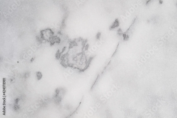 Fototapeta Candy makers marble table surface