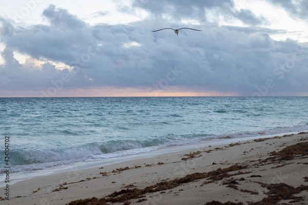 Fototapeta playas cuba 