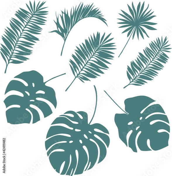 Obraz Vector flat design set : dark blue silhouettes of big tropical leaves, Palm. Minimalism. Isolated on white elements for illustration, card, logo, invitation, flyer