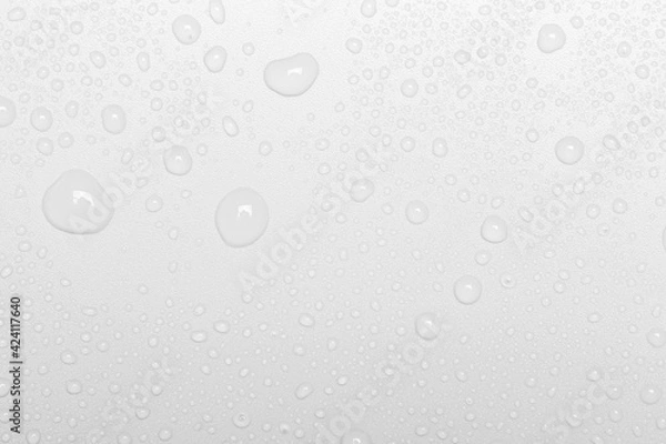 Fototapeta Water drops on white background, top view