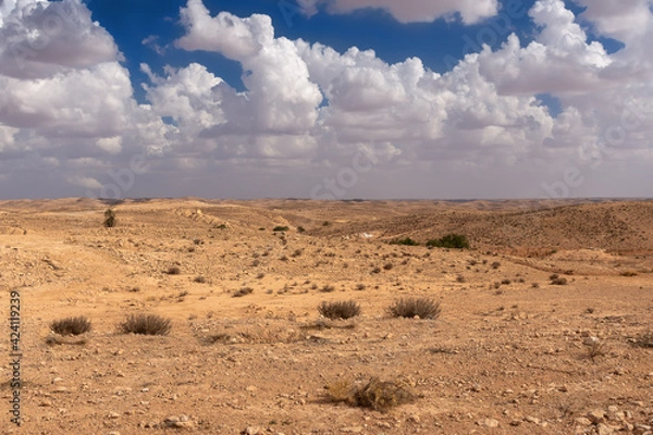 Fototapeta vast expanses of desert terrain, covered with rare vegetation