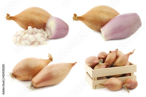 Fototapeta fresh shallots in a wooden box on a white background
