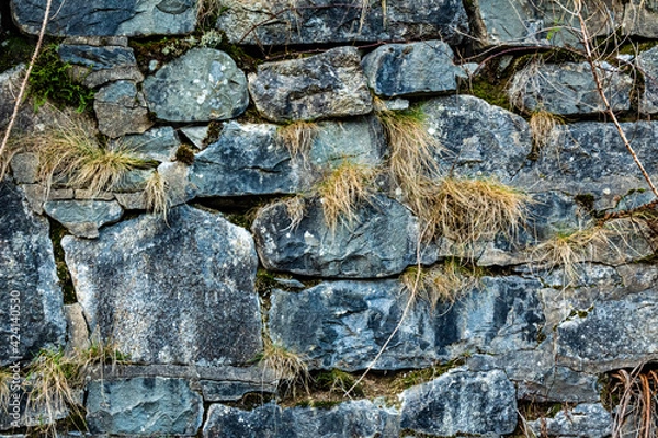 Fototapeta Abstract of an old Scottish drystone wall or dyke, with moss and grass growing